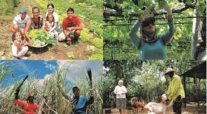 DIA DO TRABALHADOR RURAL (DO CAMPO): 25 de Maio