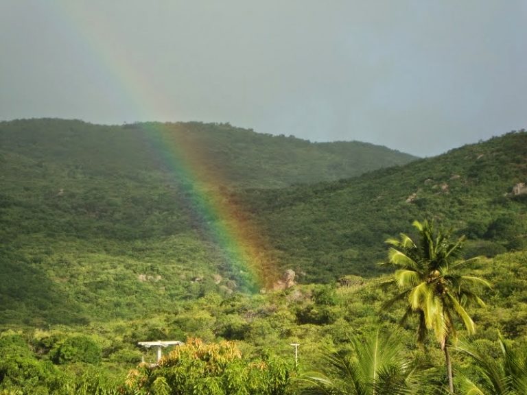 A CHUVA DO SÍTIO: Espetáculo da Natureza